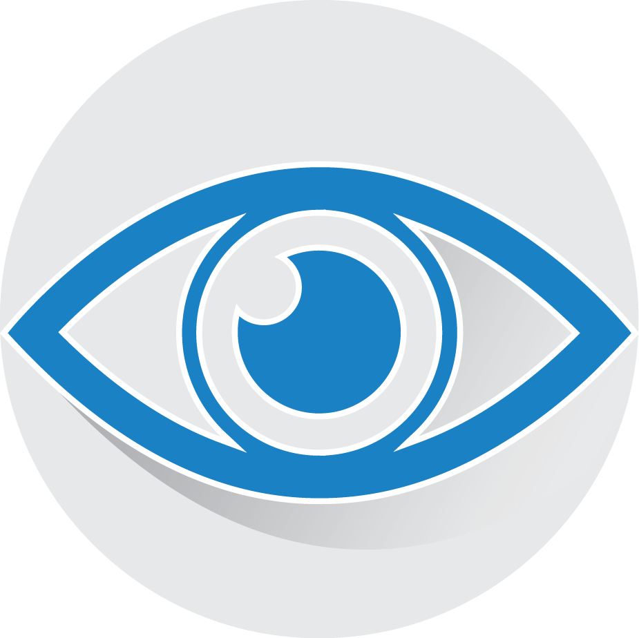 Vision Icon
